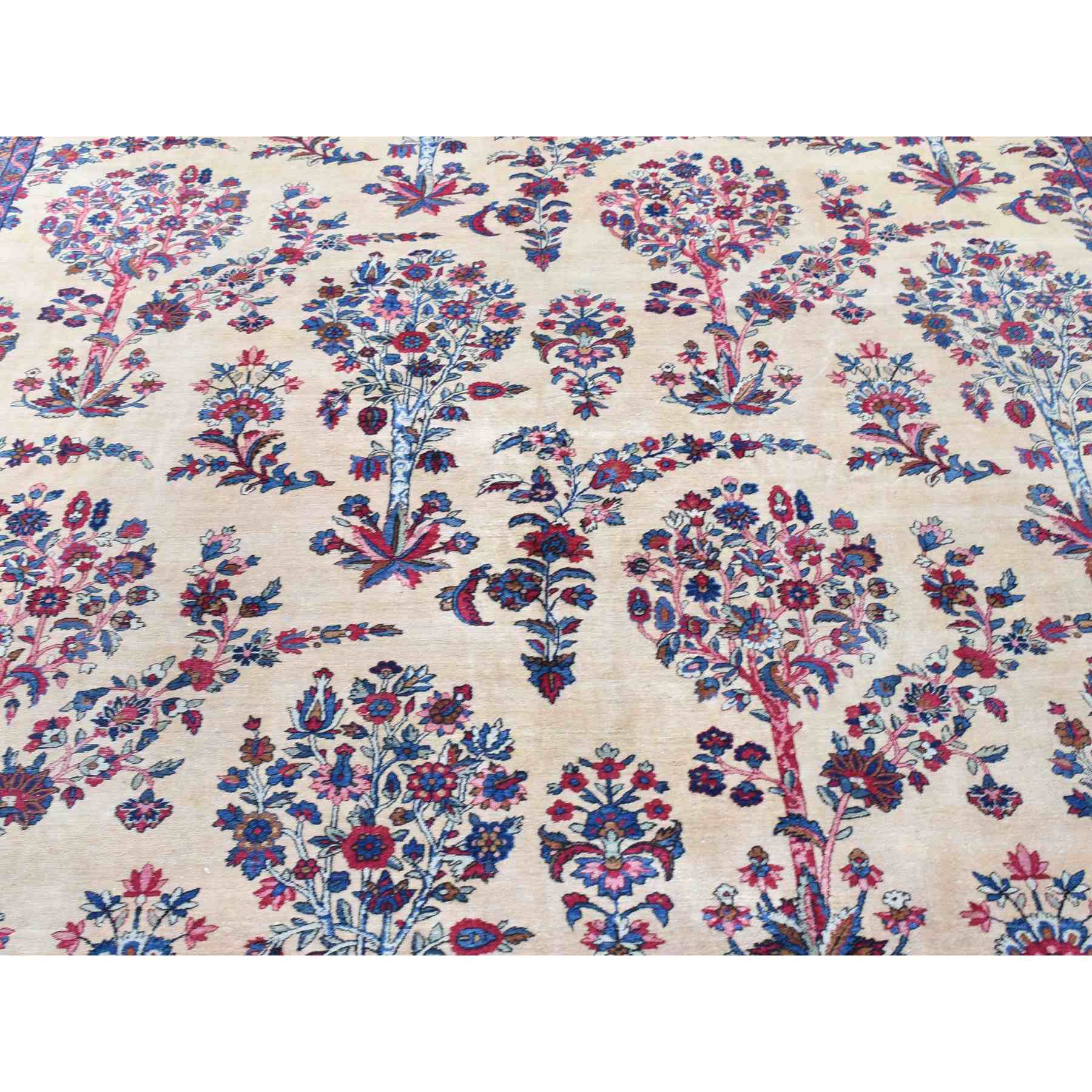 Antique-Hand-Knotted-Rug-401135